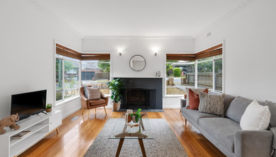 Picture of 19 Pine Street, SURREY HILLS VIC 3127