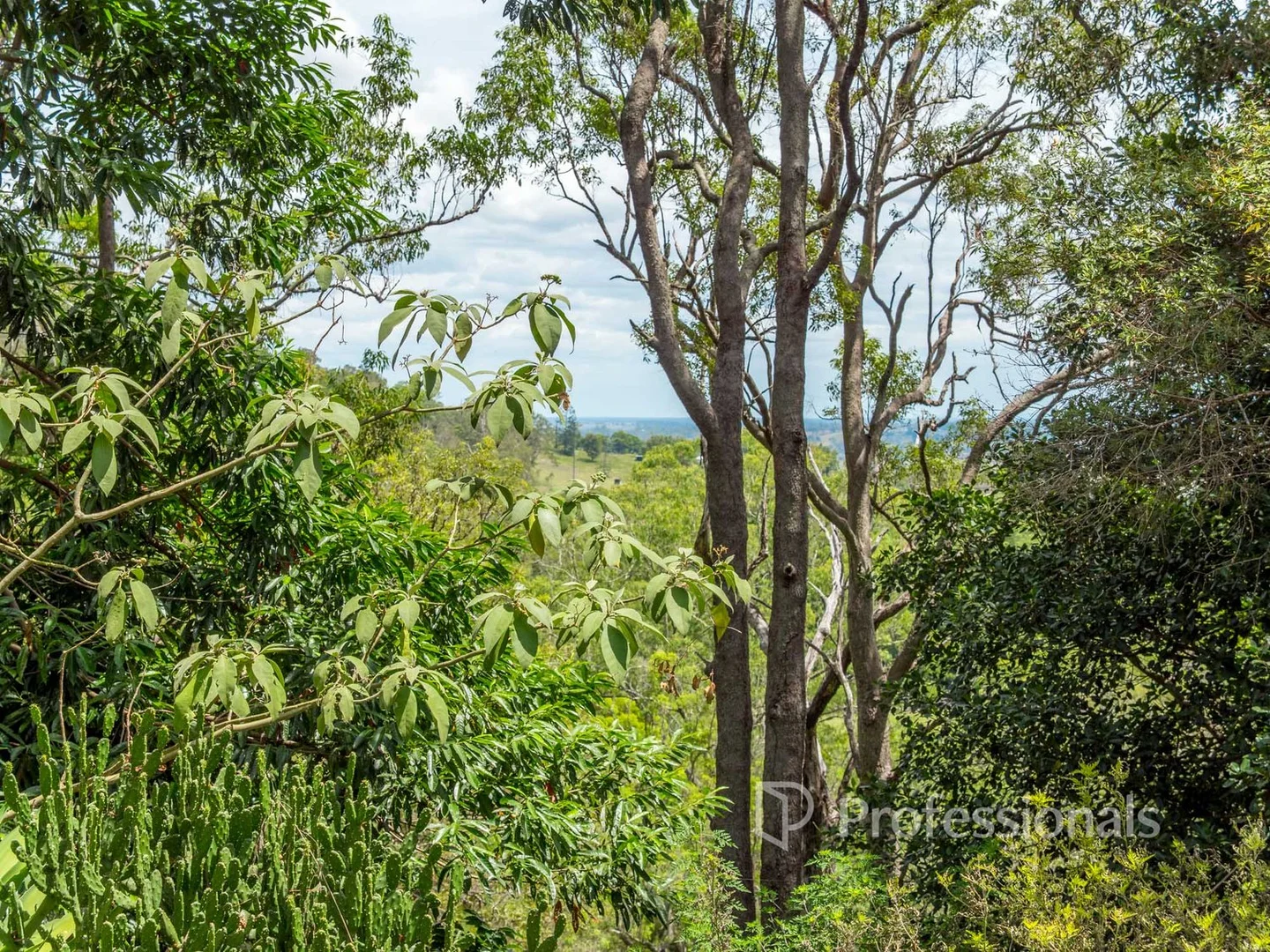 Image 15