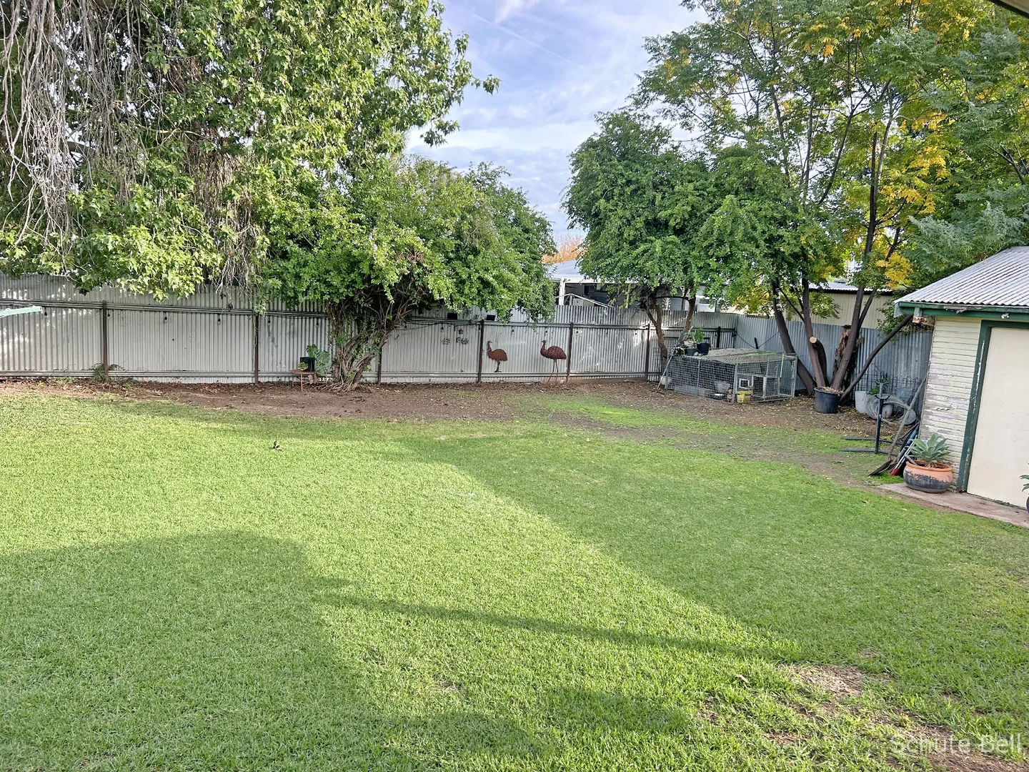 Image 12