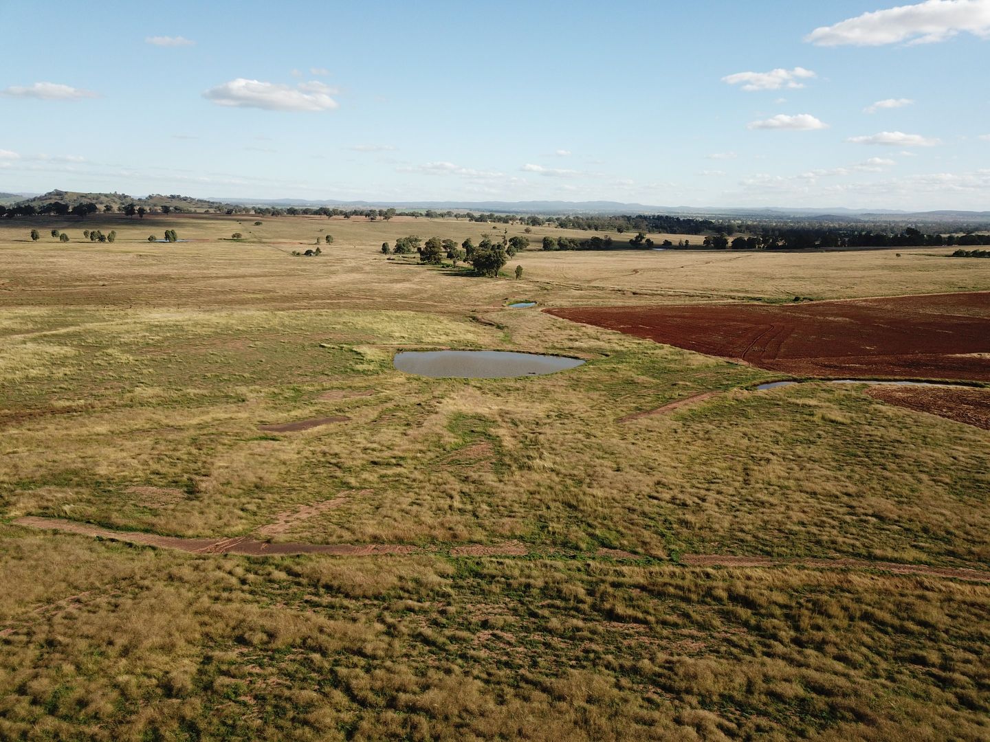 'West Waugoola' Old Dubbo Road, Geurie NSW 2818, Image 2