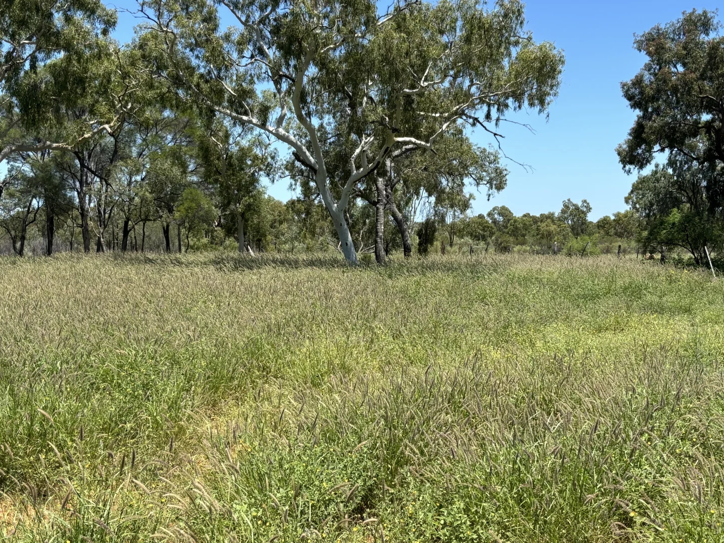 Image 12