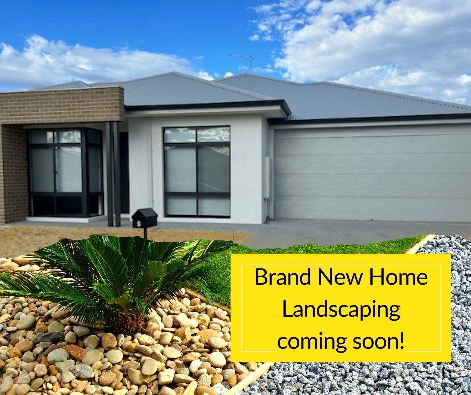 9 Shortboard Street, Yanchep WA 6035 House For Rent 650 Domain