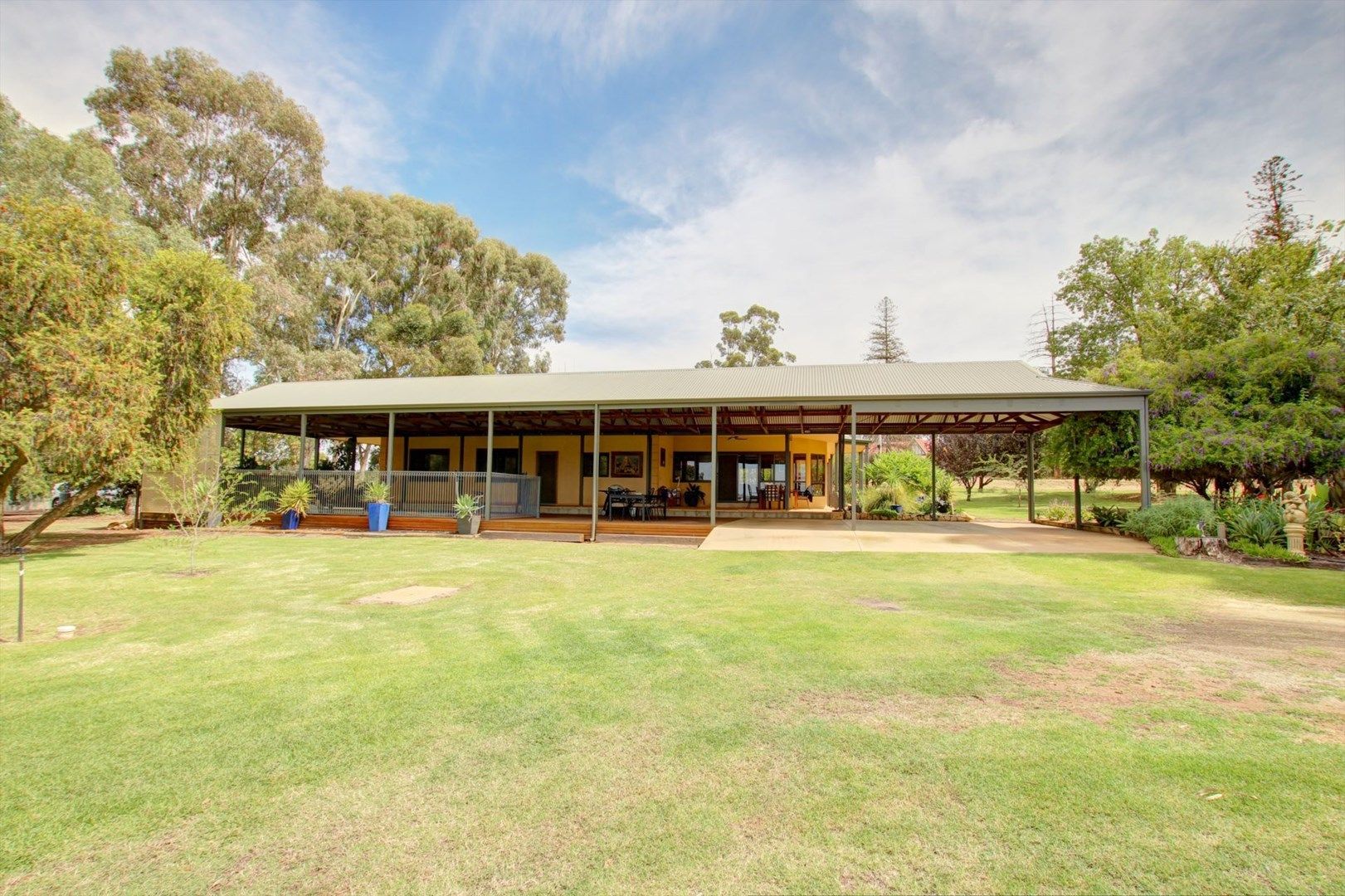 291 Winkie Road, Winkie SA 5343, Image 0