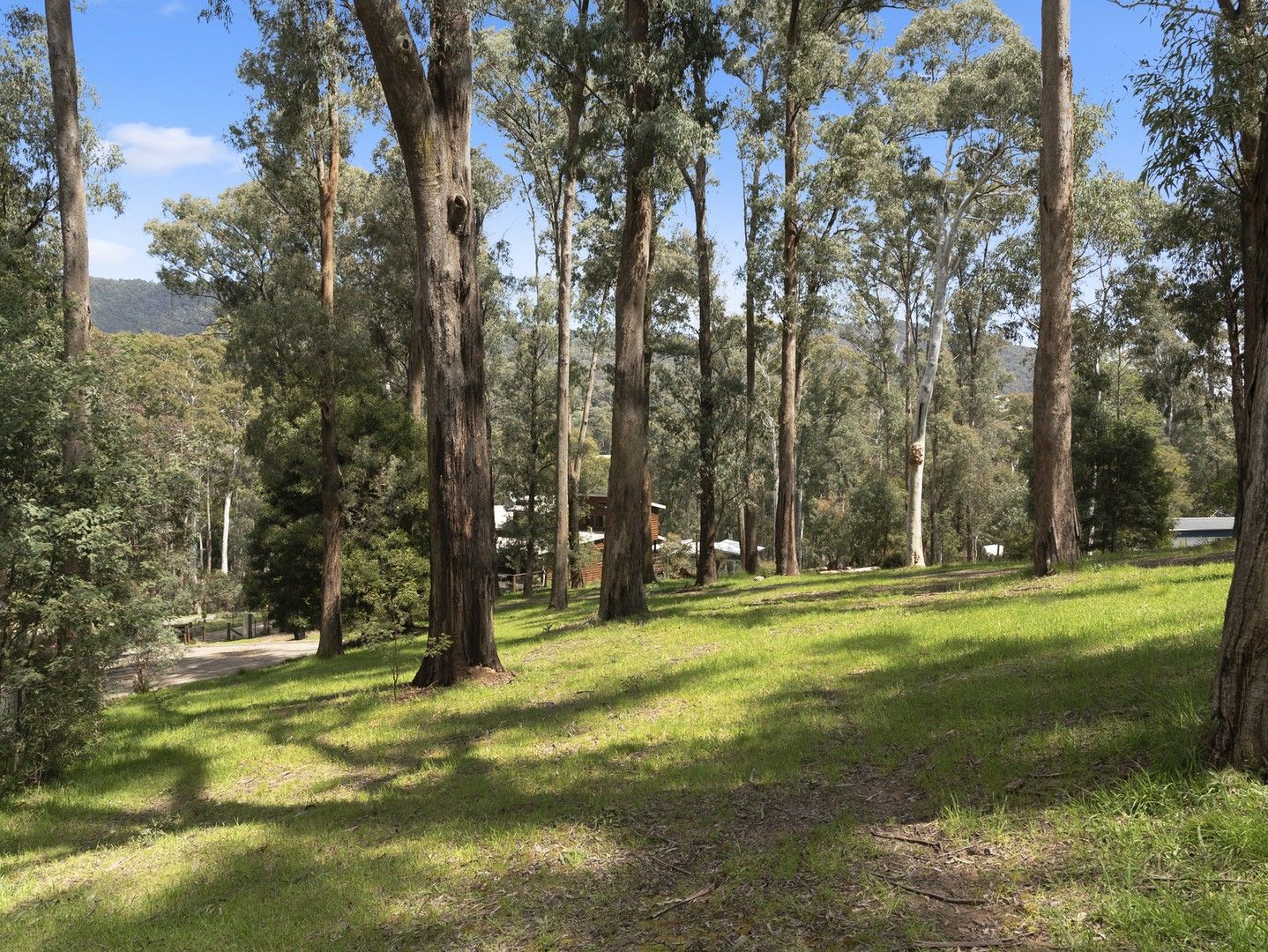 8 Man Court Sawmill Settlement VIC 3723 Domain