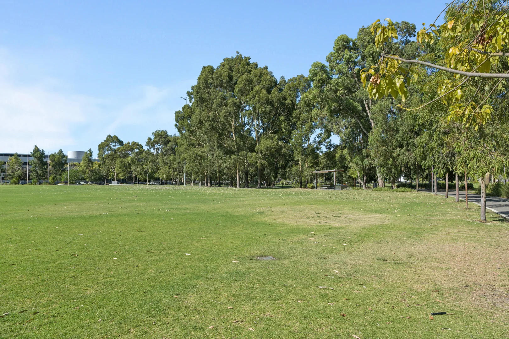 Image 32