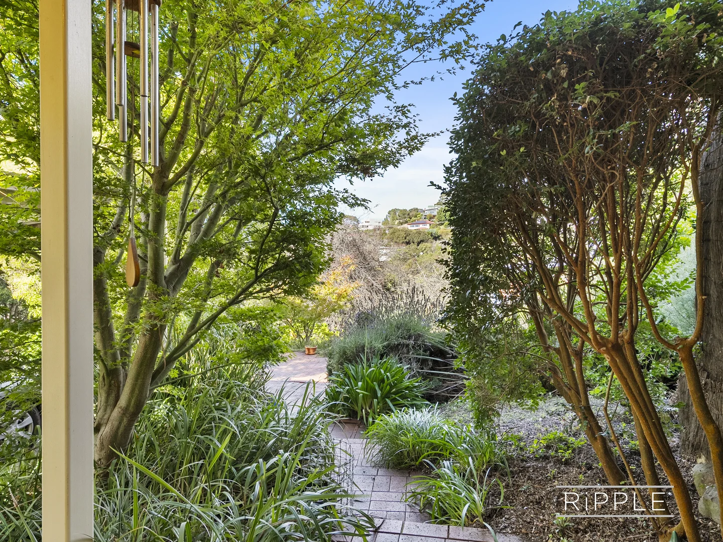 Additional image 28 of 10 Romilly Street, South Hobart TAS 7004