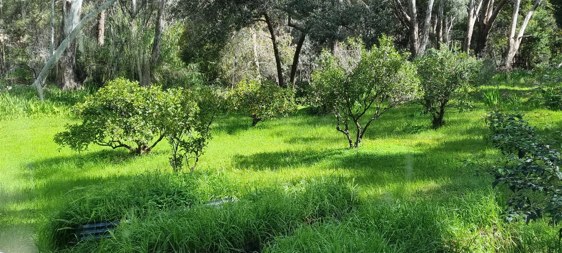 Additional image 10 of 16 Harold St, Glen Forrest WA 6071