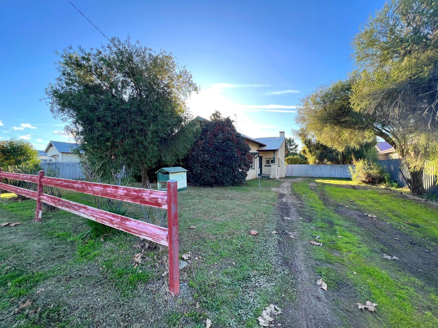 94 Balfour Street, Culcairn NSW 2660 House For Rent Domain