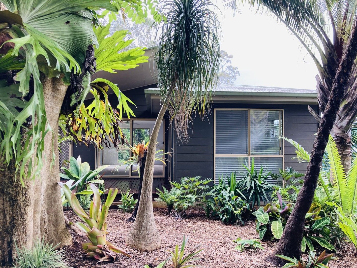 North Maleny QLD 4552 1 bed house for Rent, 400 per week 16976476