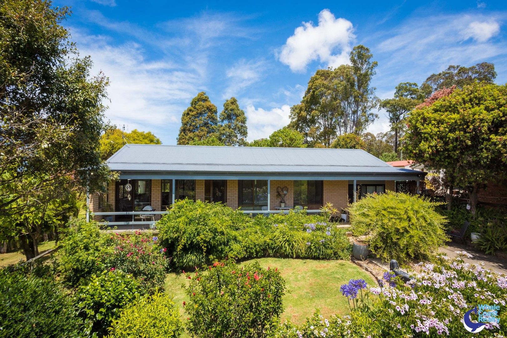 81 Old Highway, Narooma NSW 2546 House for Sale Domain