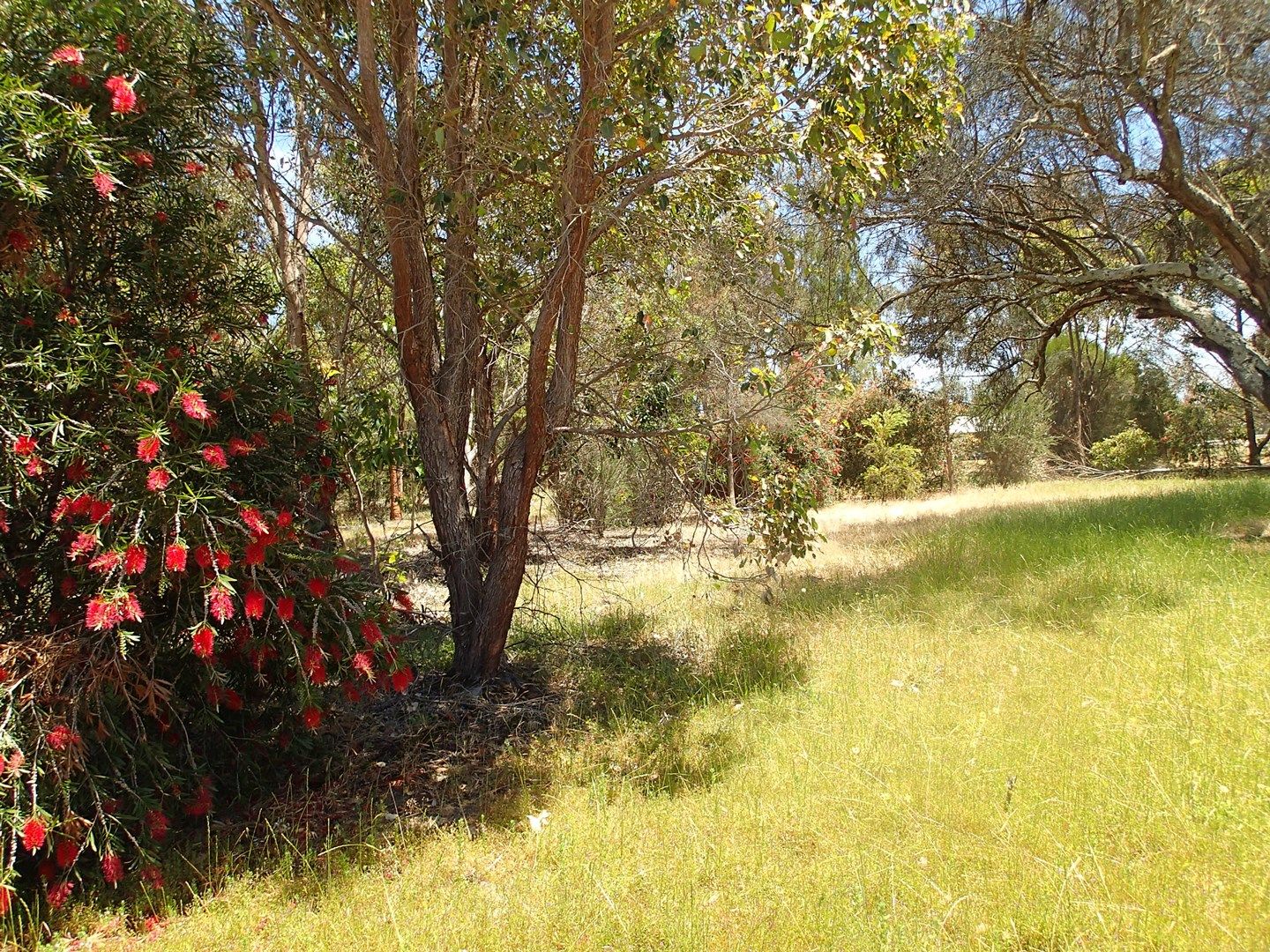 Lot 3, 18 Gallagher Way, Cardup WA 6122, Image 1