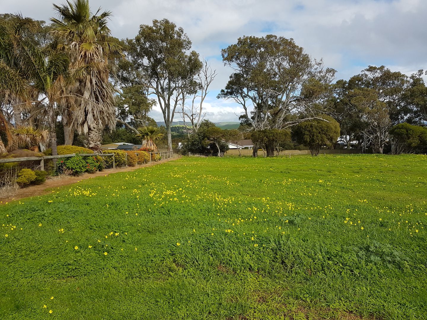 Lot 19 Norman Avenue, Normanville SA 5204, Image 1