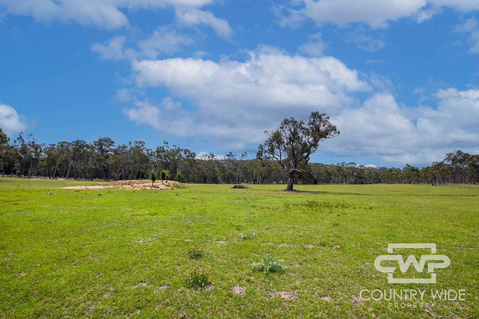 46 Catarrh Creek Road, Torrington NSW 2371, Image 2