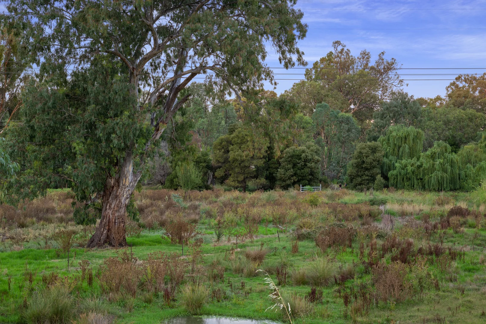 Additional image 22 of 2 Henry Close, Killara VIC 3691
