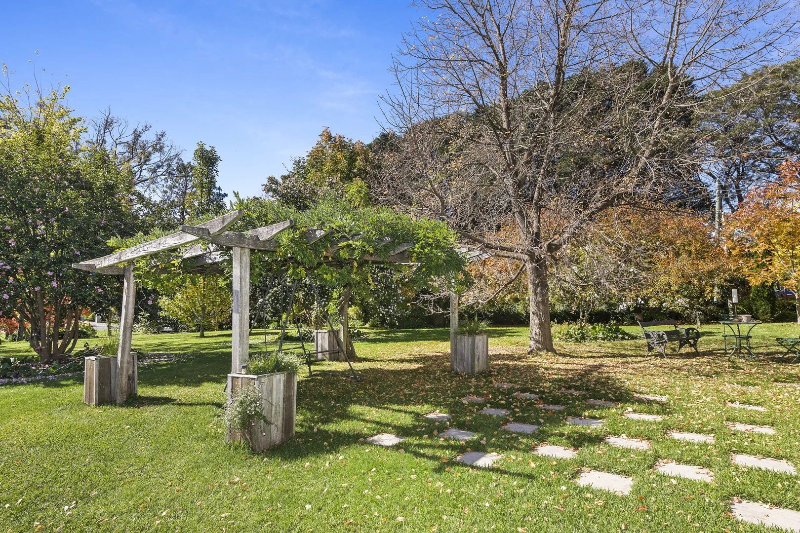 Image 19