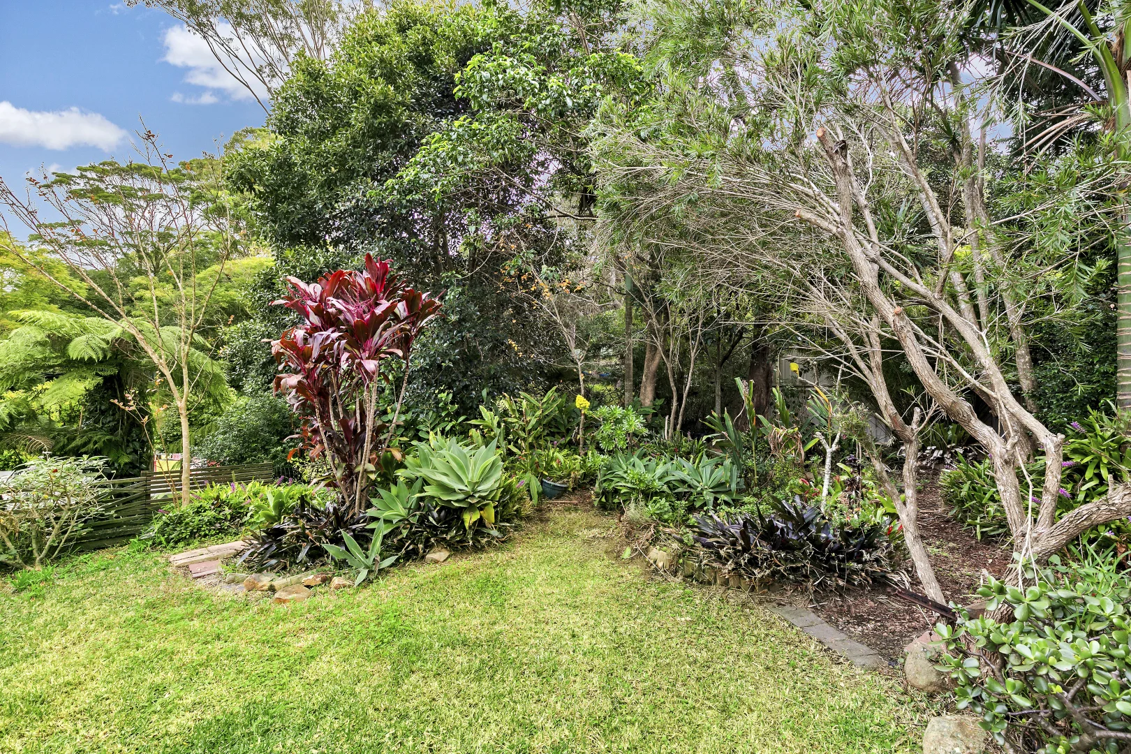 Image 12