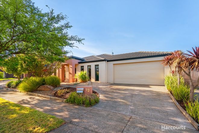 Picture of 12 Blue Peppermint Court, LYNDHURST VIC 3975