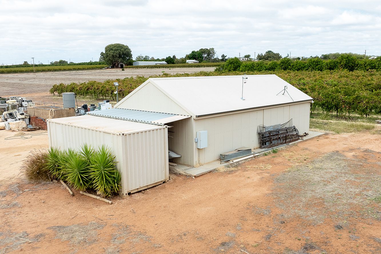 49 Dorsch Avenue, Loxton SA 5333 Vacant Land for Sale 295,000