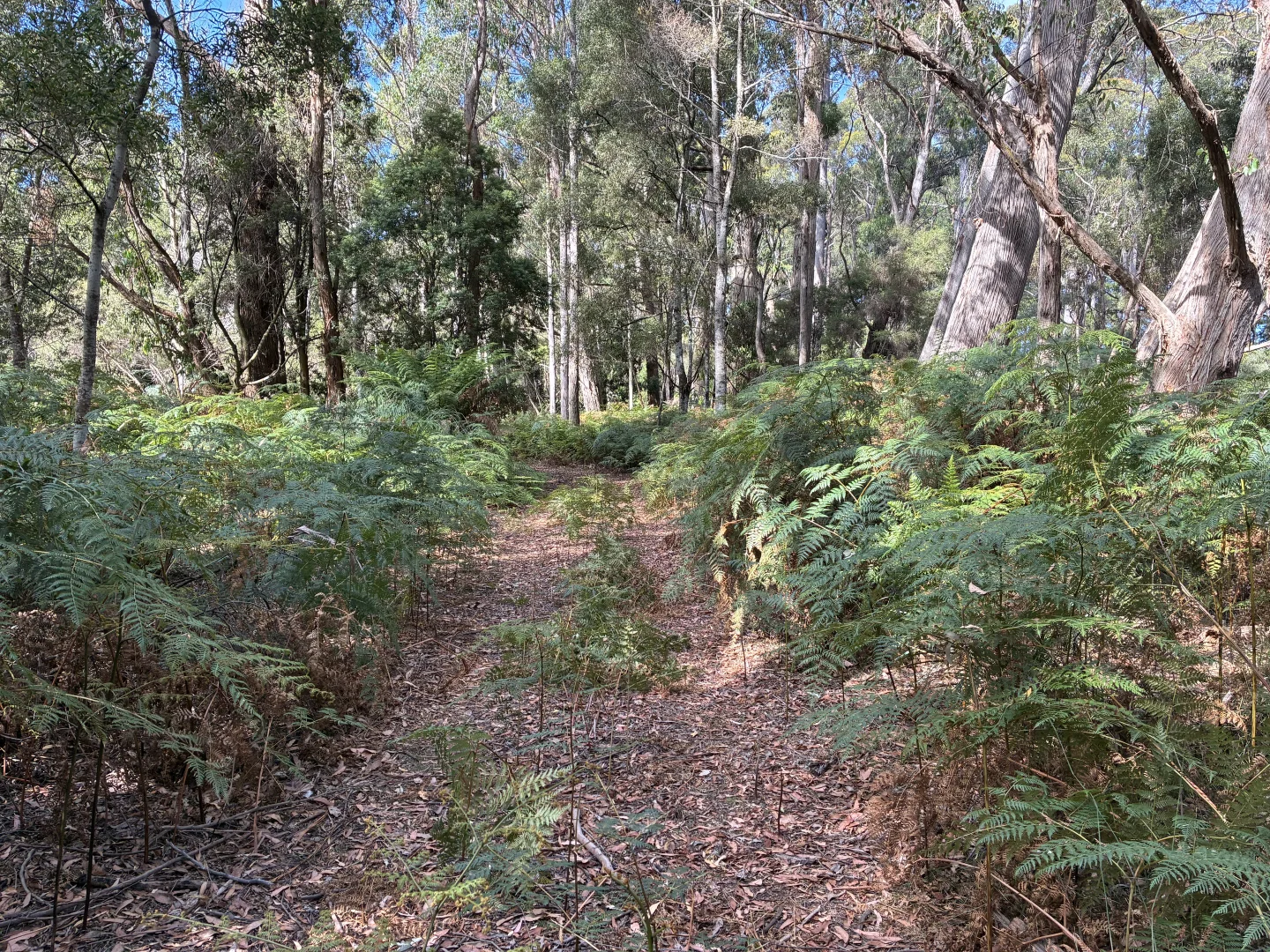 Additional image 12 of 306 Coopers Road, Rocky Cape TAS 7321
