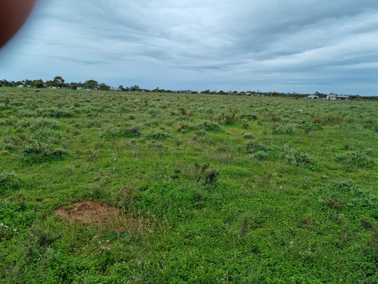 Lot 505 Harris Road, Dublin SA 5501, Image 2