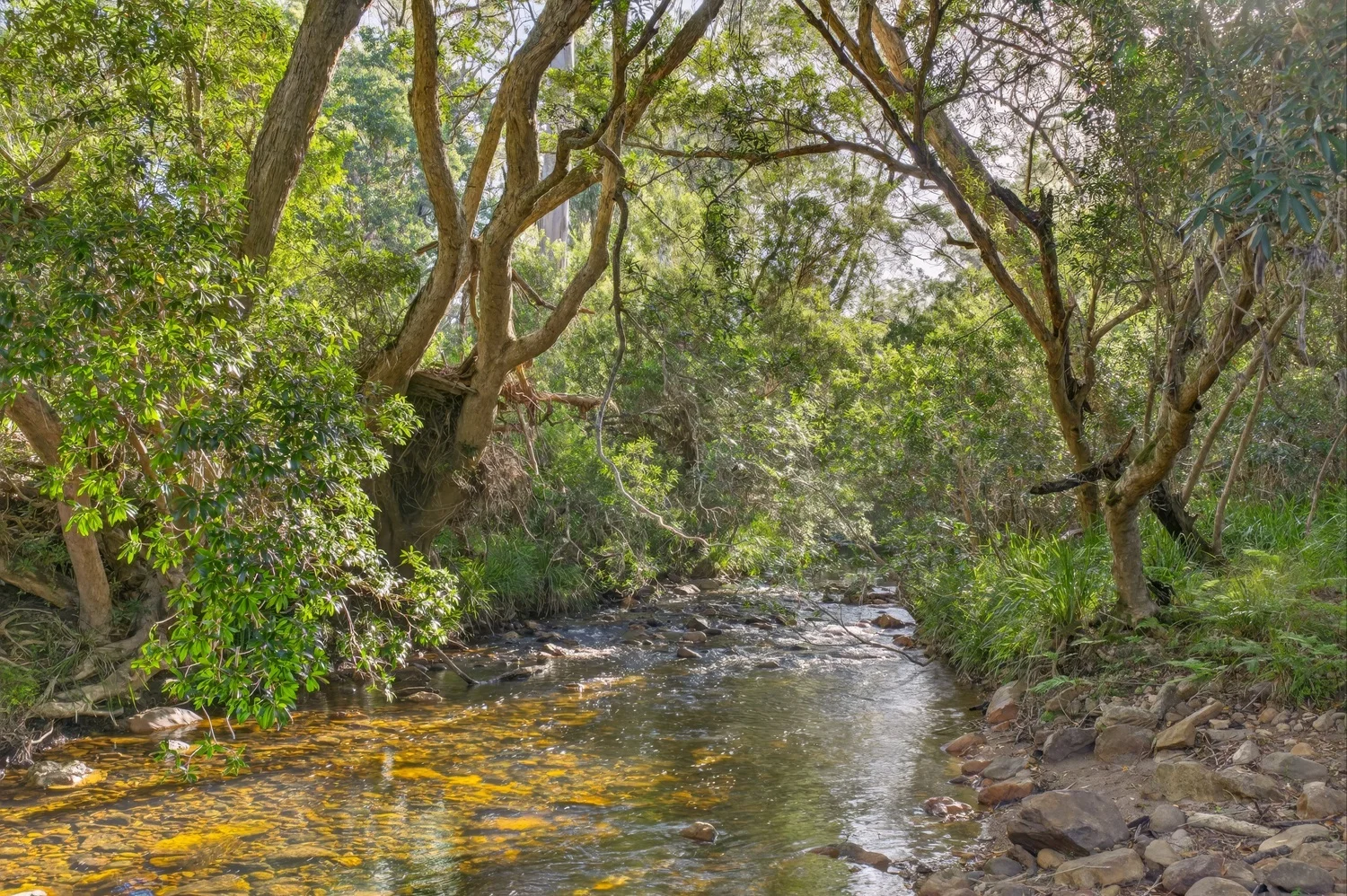 Additional image 31 of 1124 Nethercote Road, Nethercote NSW 2549