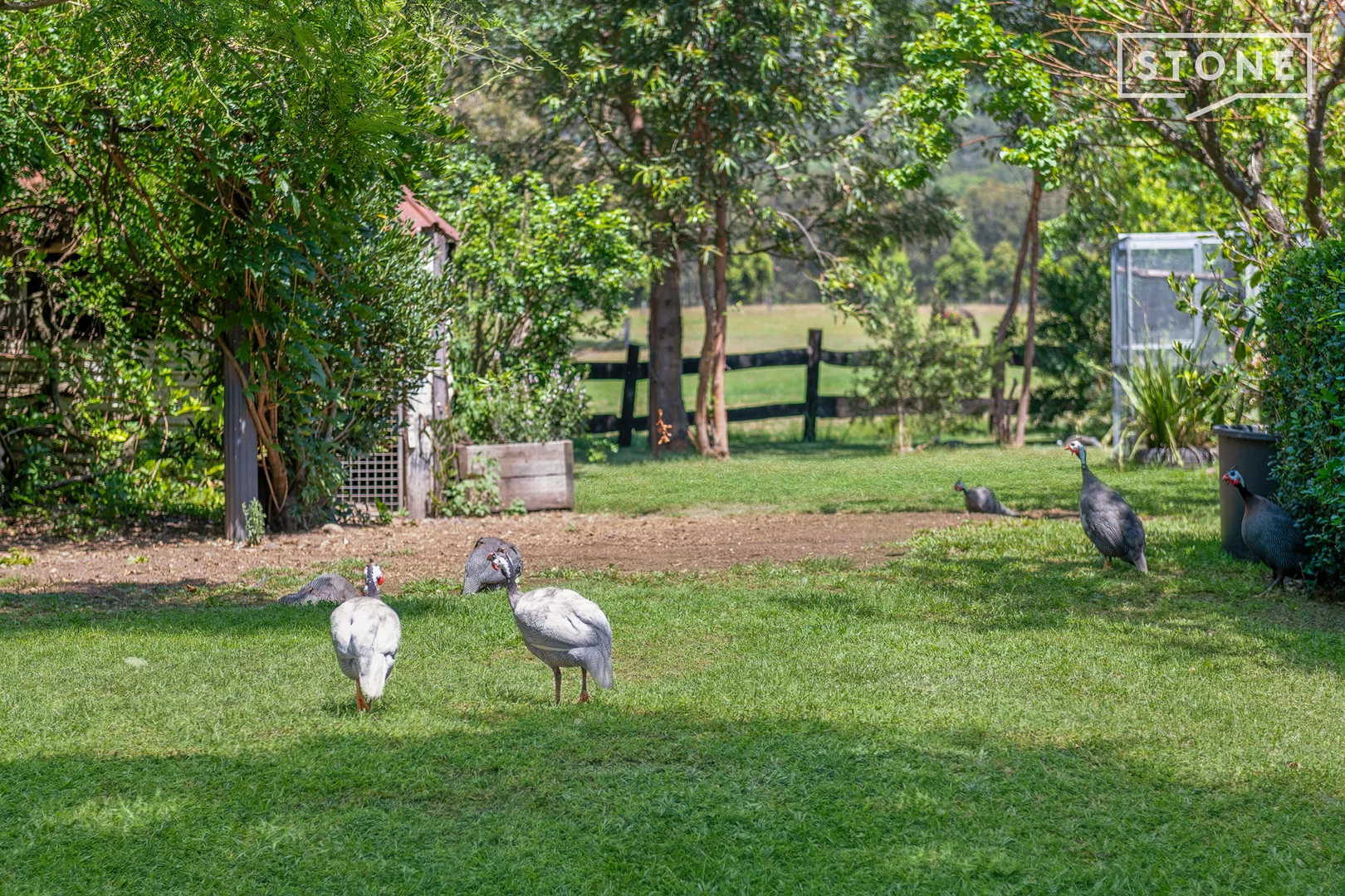 Additional image 26 of 280 Heaton Road, Quorrobolong NSW 2325