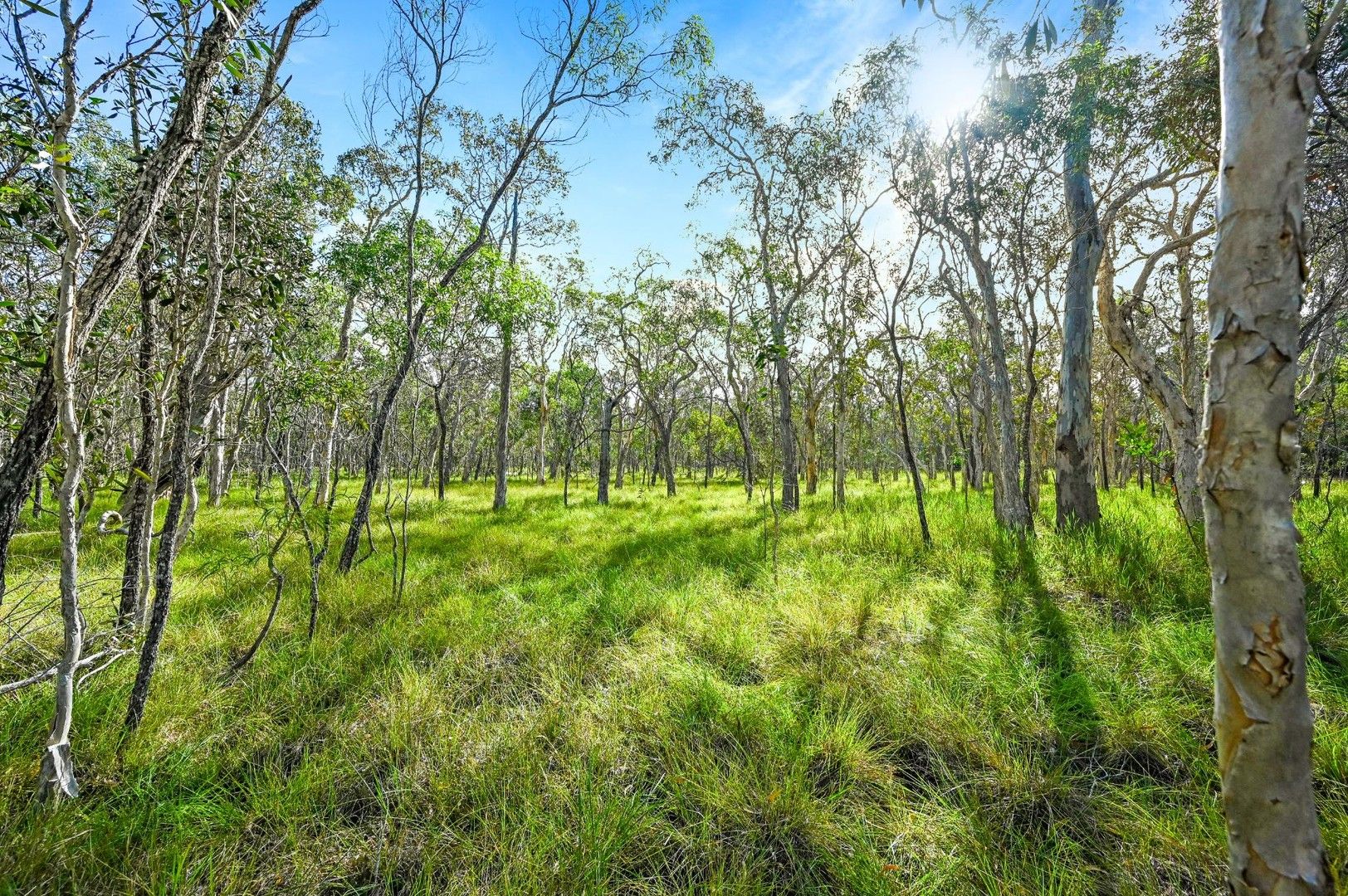 Lot 7 Round Hill Road, Agnes Water QLD 4677, Image 1