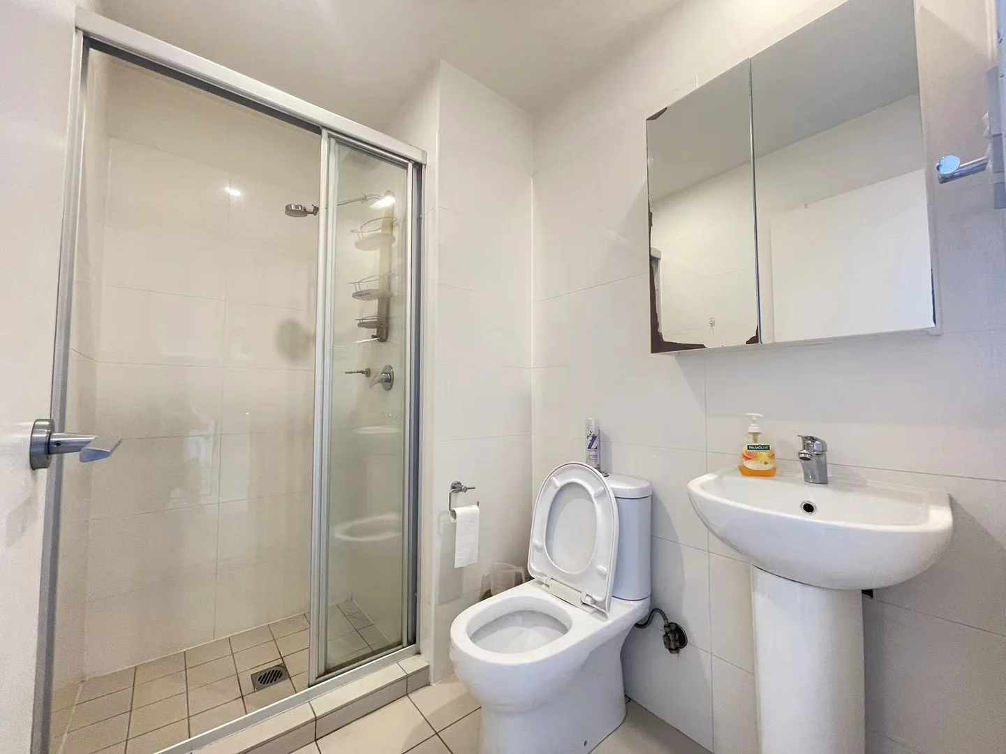 Additional image 5 of 19A/108 James Ruse Drive, Rosehill NSW 2142