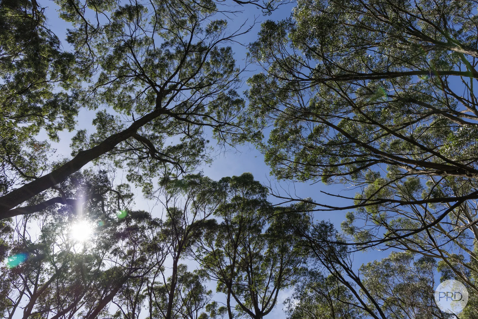 Additional image 9 of 266 Treweeks Road, Blampied VIC 3364