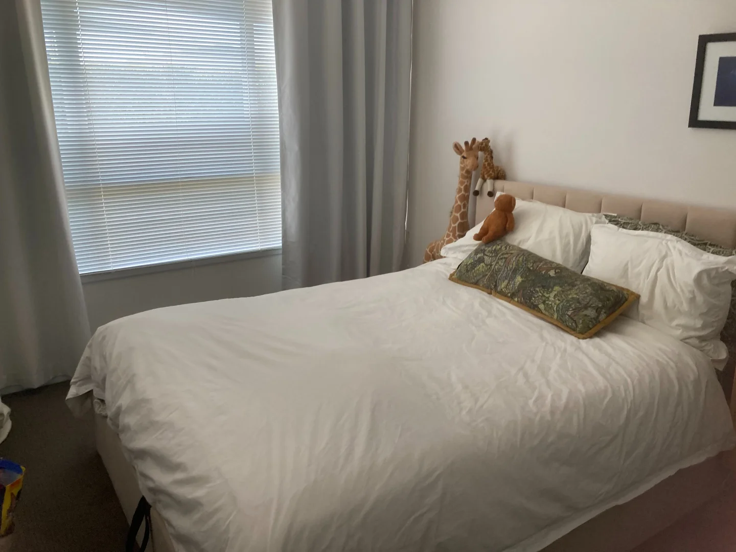 Additional image 4 of 3/7 Azilemot Av, Herne Hill VIC 3218