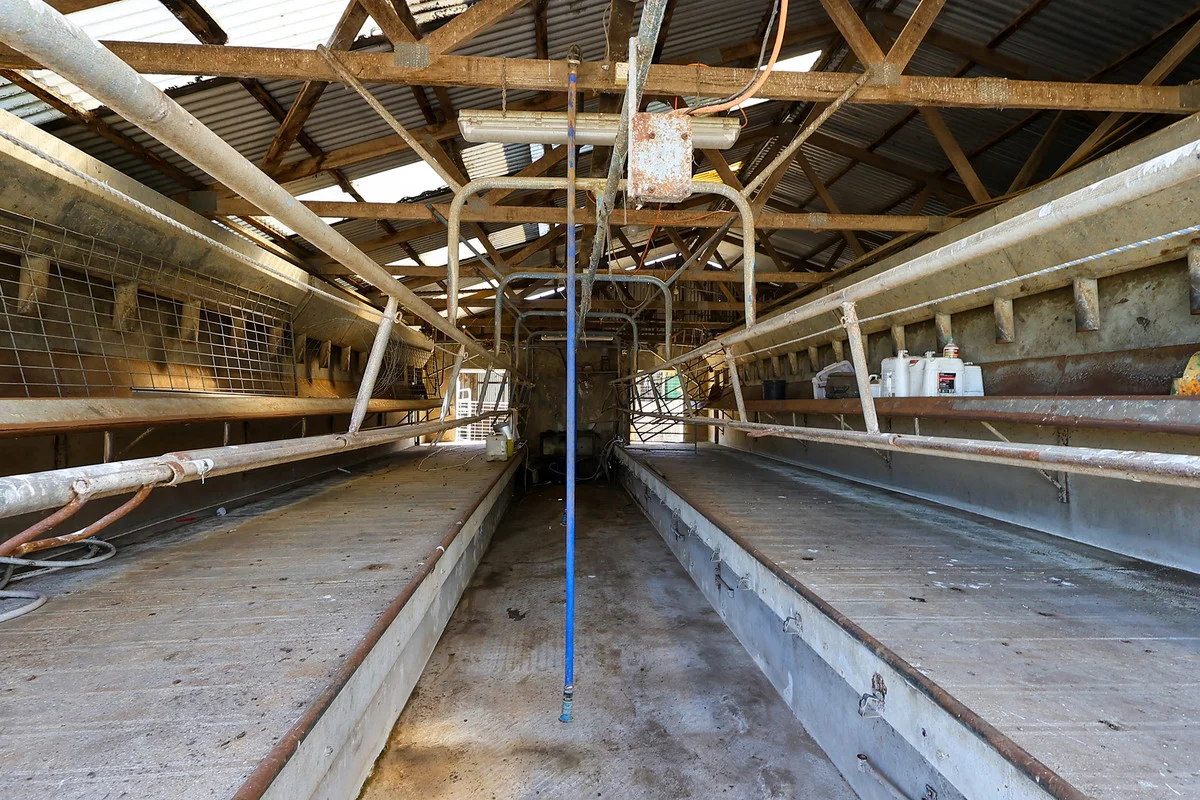 Additional image 15 of 170 Allans Road, Framlingham VIC 3265