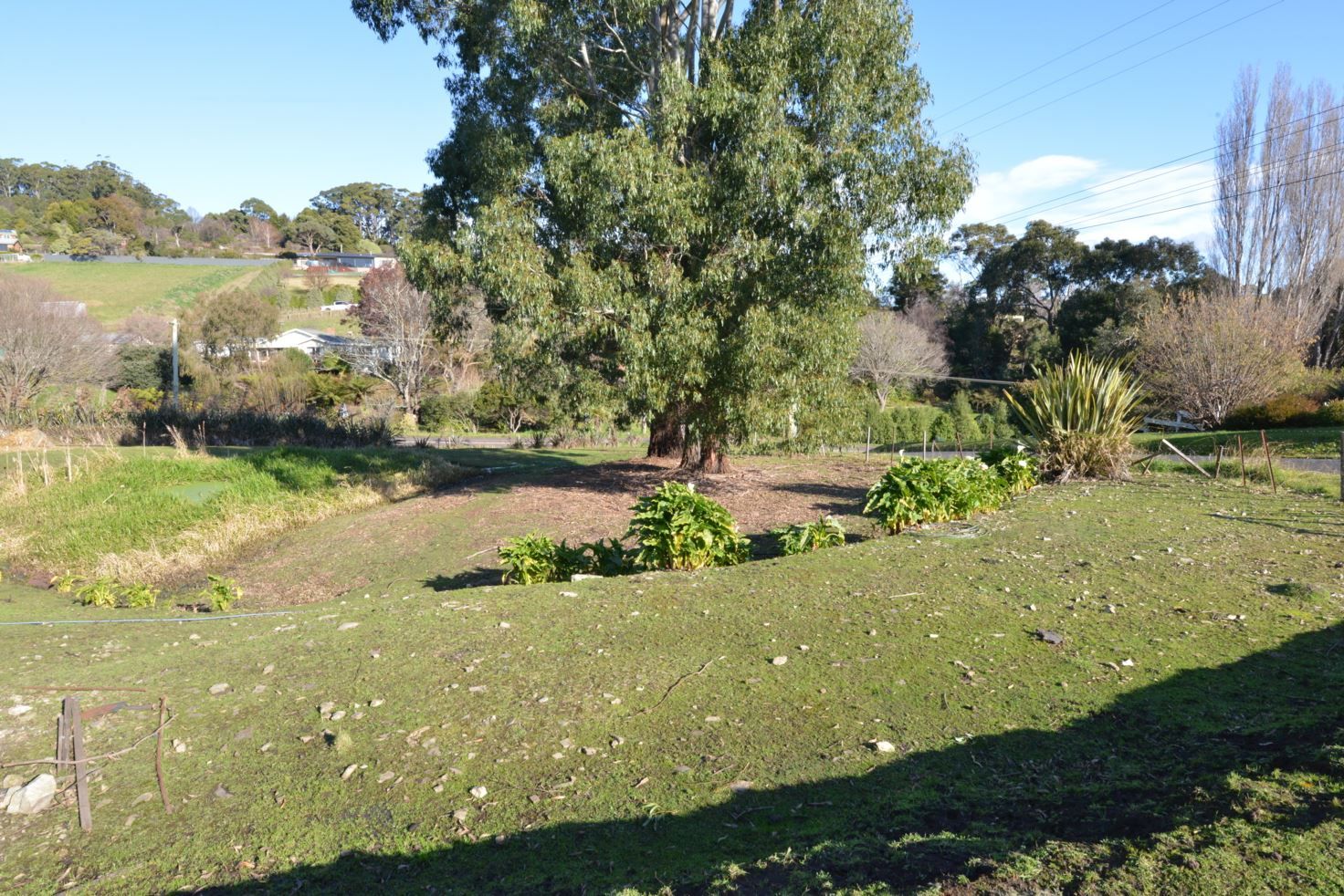 590 Forth Road, Forth TAS 7310, Image 1