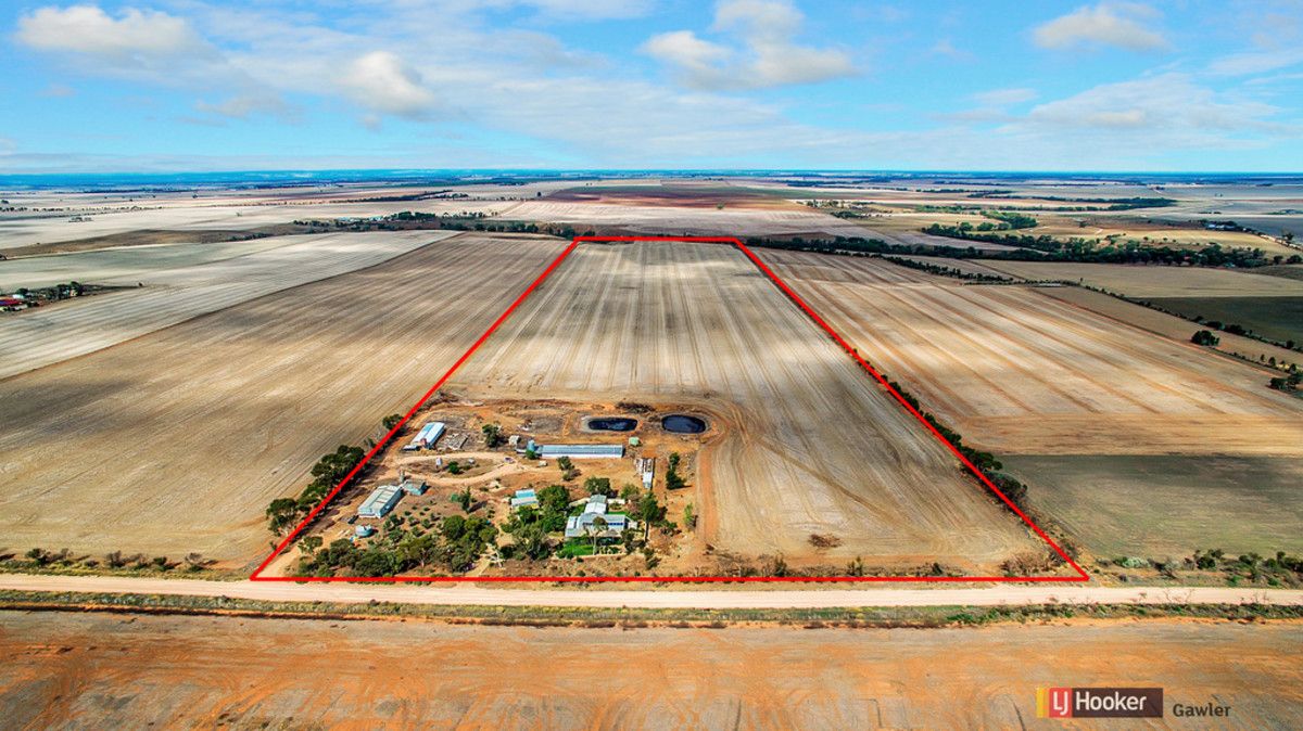 64 Hamley Bridge Road (Barabba), Mallala SA 5502, Image 0