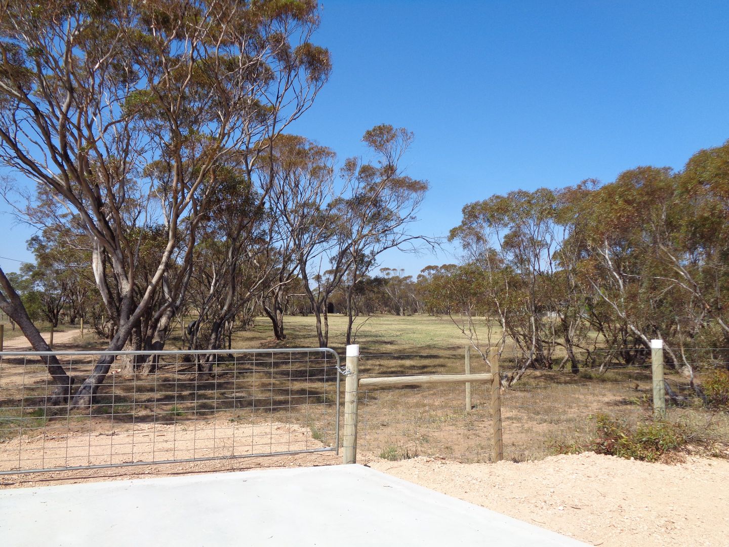 Lot 16 Hill Road, Mallala SA 5502, Image 2