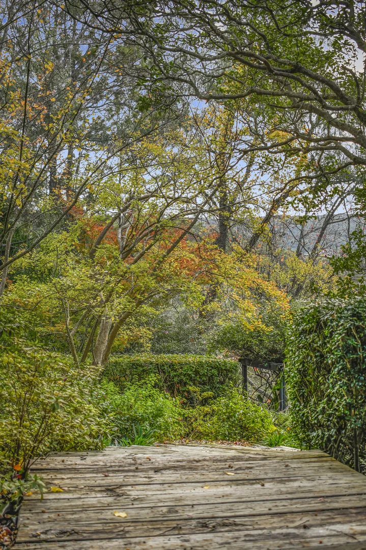 Image 32