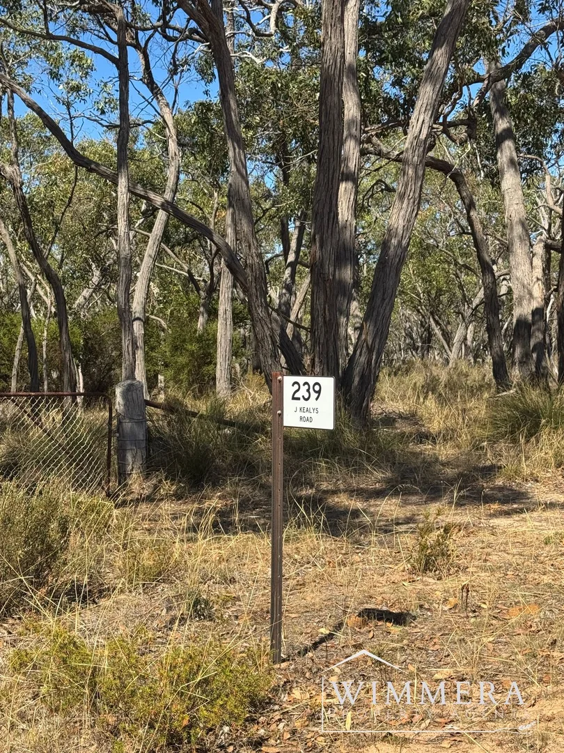 Image 9