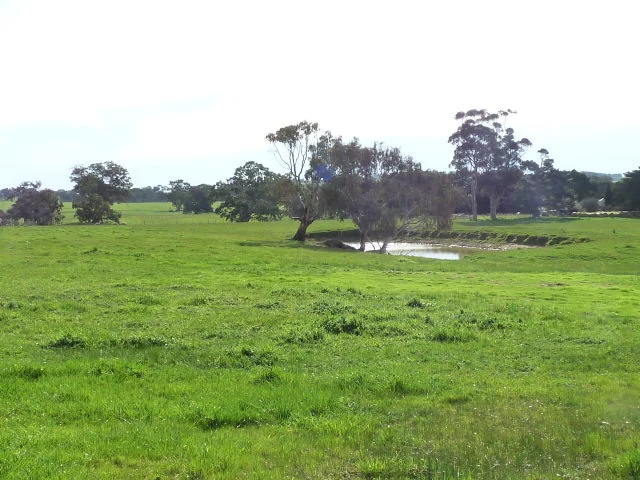 Image 6