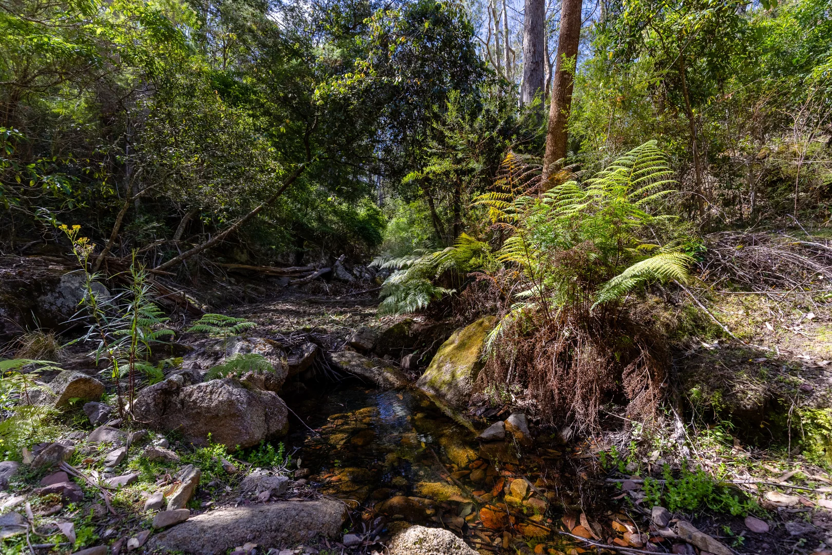 Image 11