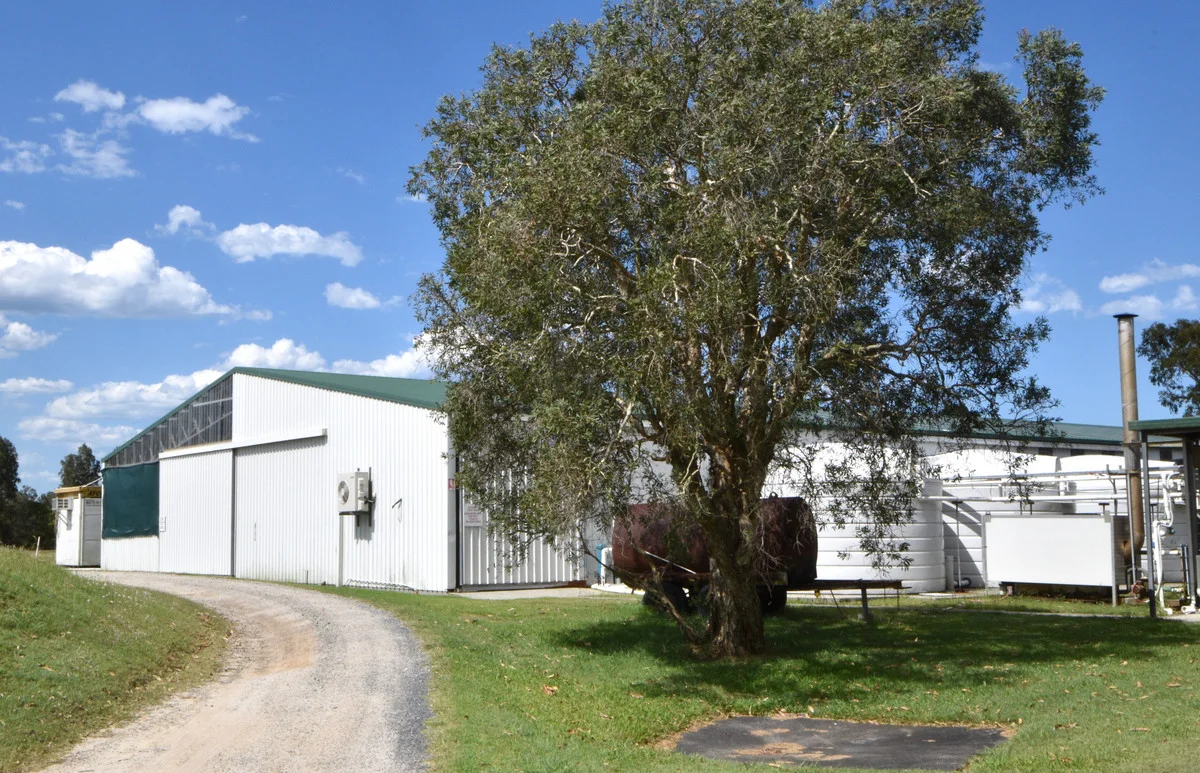 Image 13