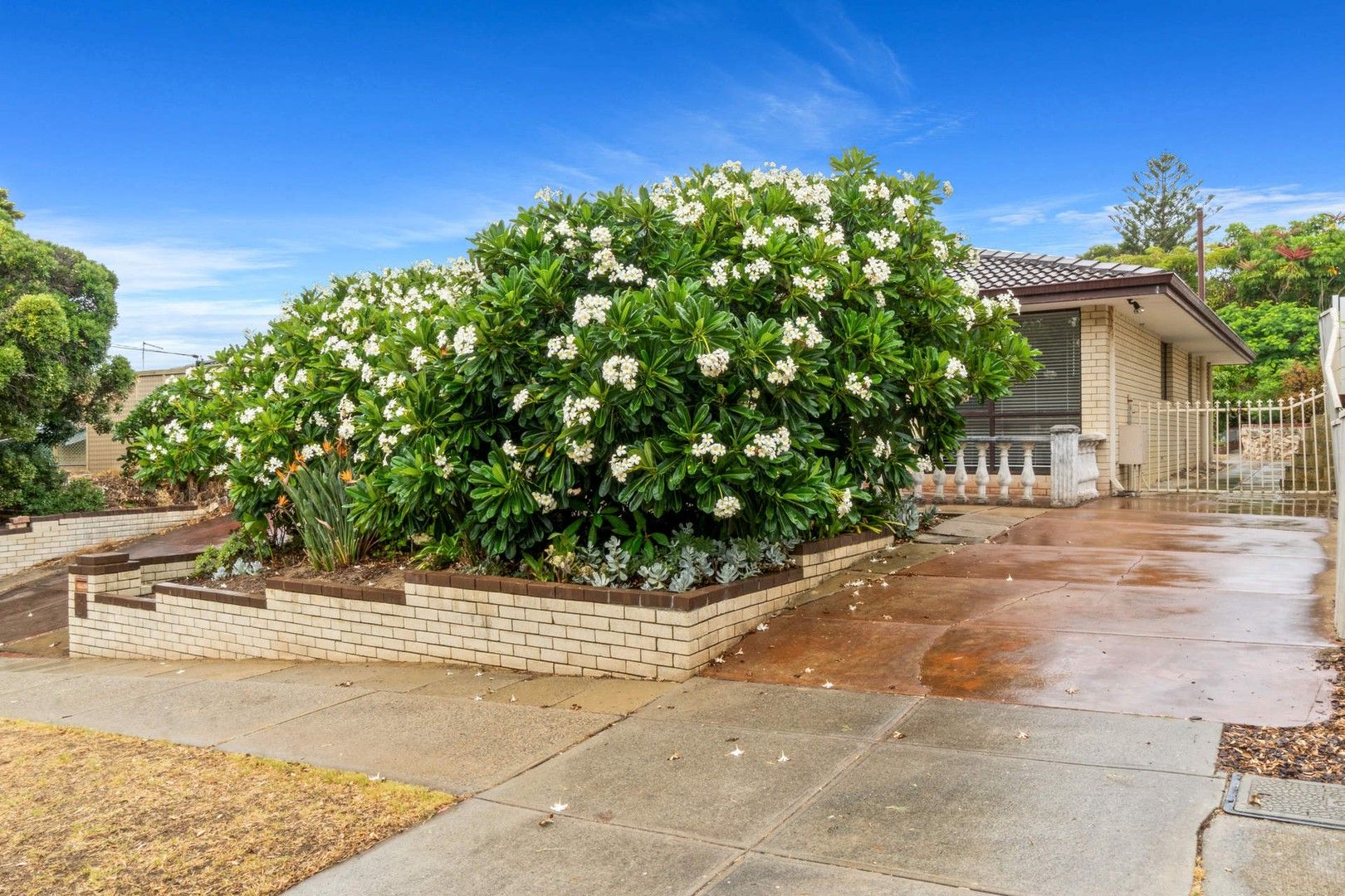 8 Millar Road, North Beach WA 6020 Duplex For Rent 600 Domain