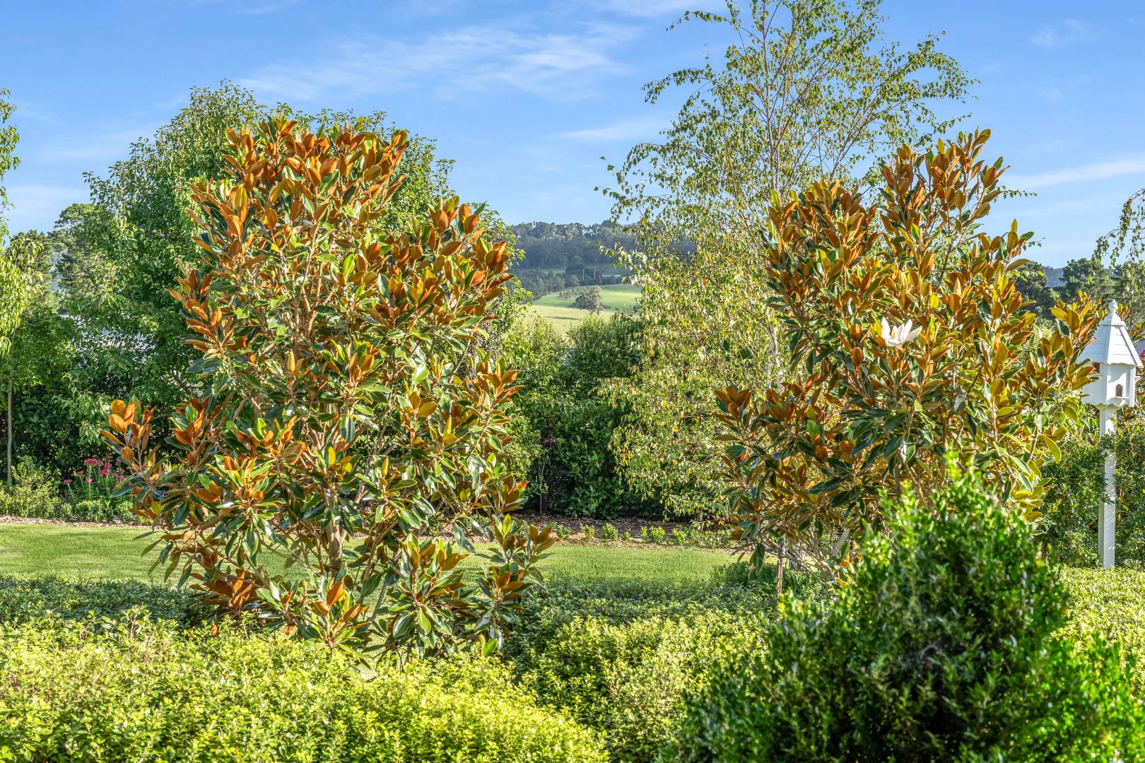 Image 35