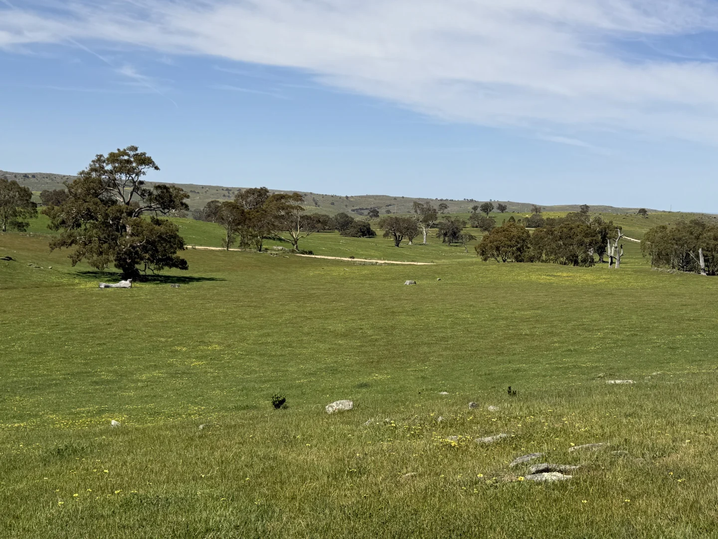 Image 14