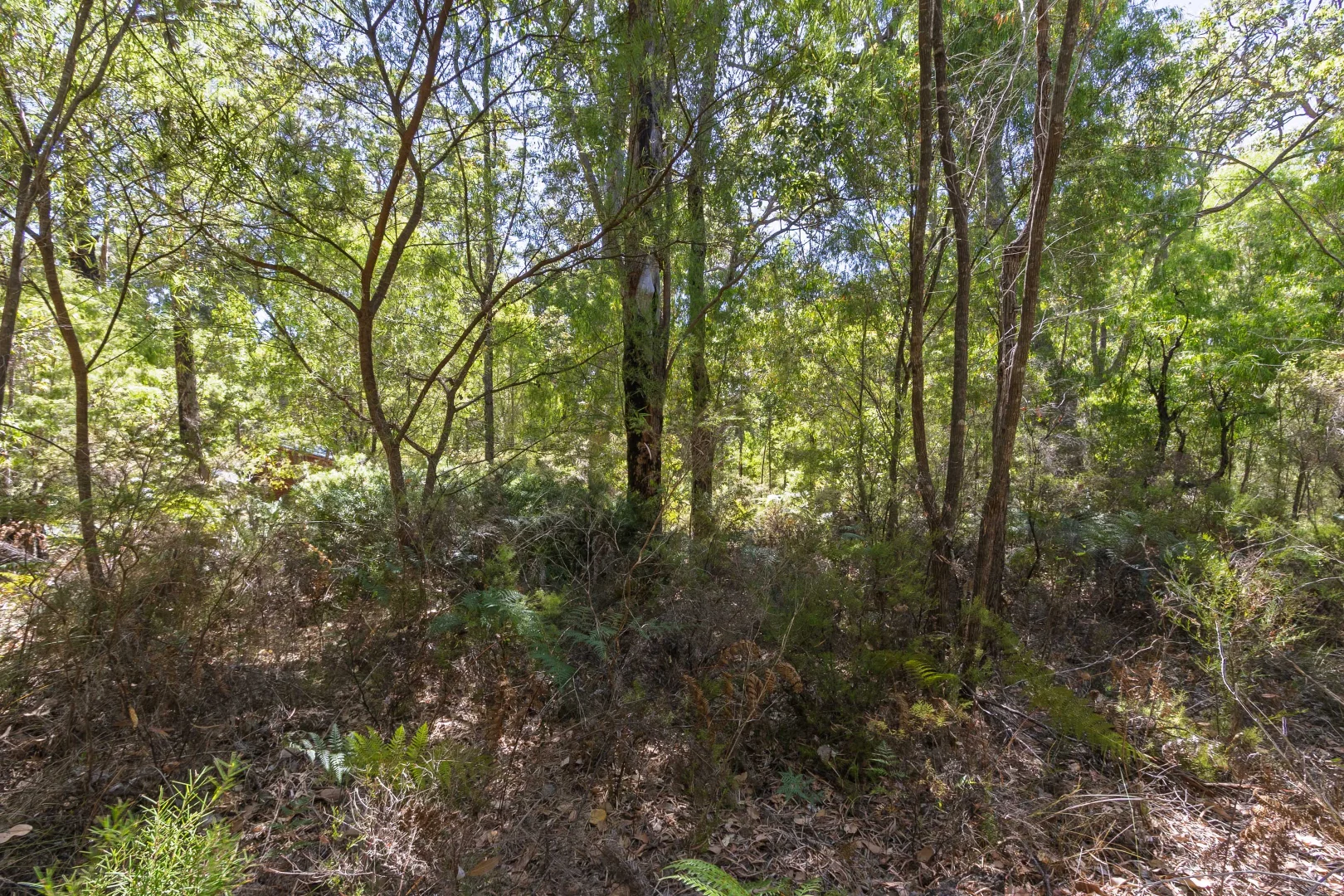 Additional image 8 of Lot 52 Karri Lane, Quinninup WA 6258