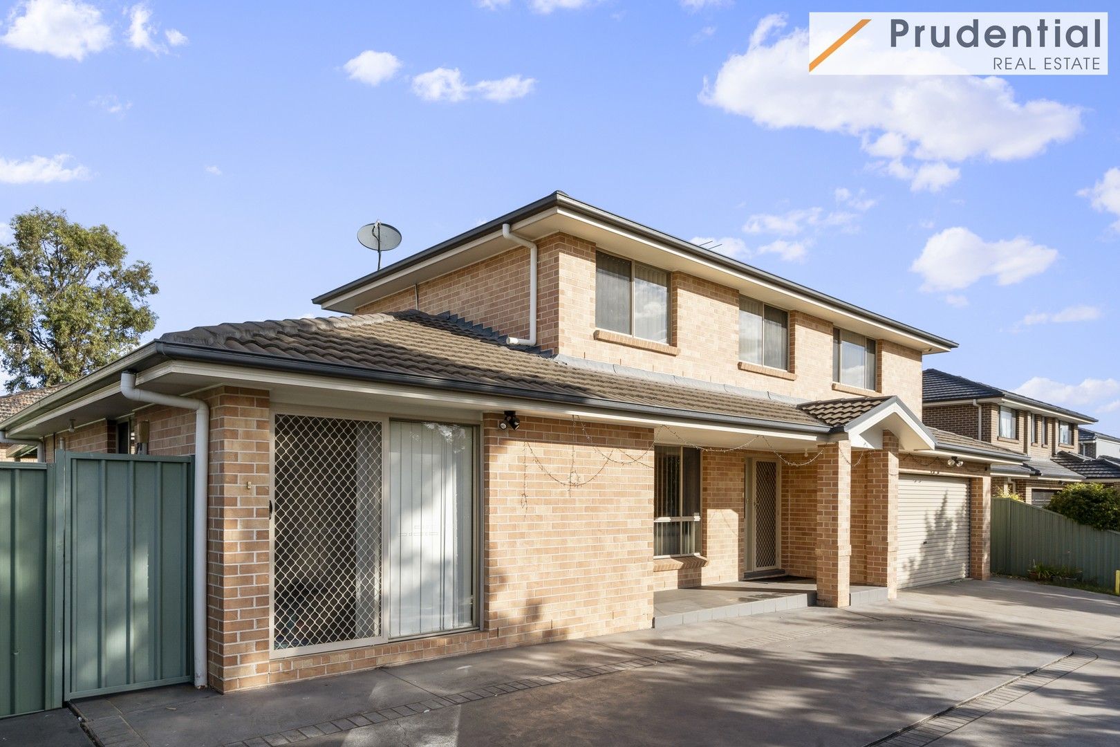 387a Elizabeth Drive,, Mount Pritchard NSW 2170 Domain
