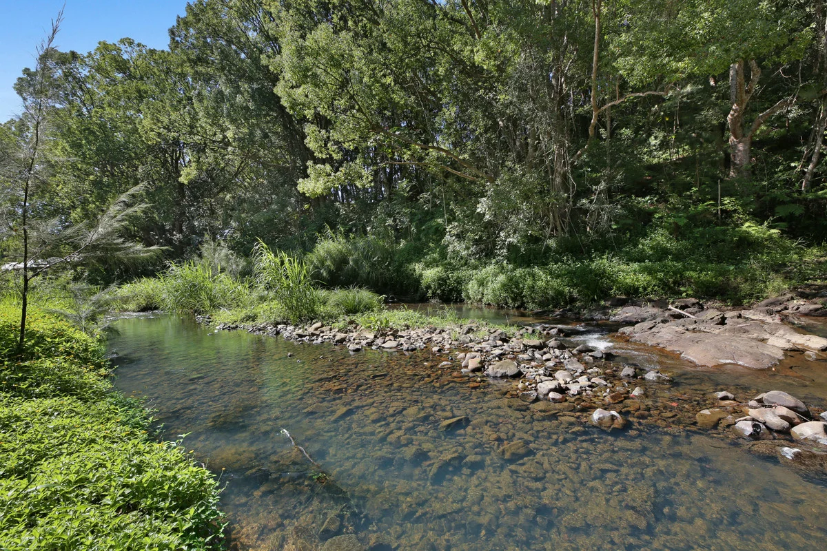 Image 13