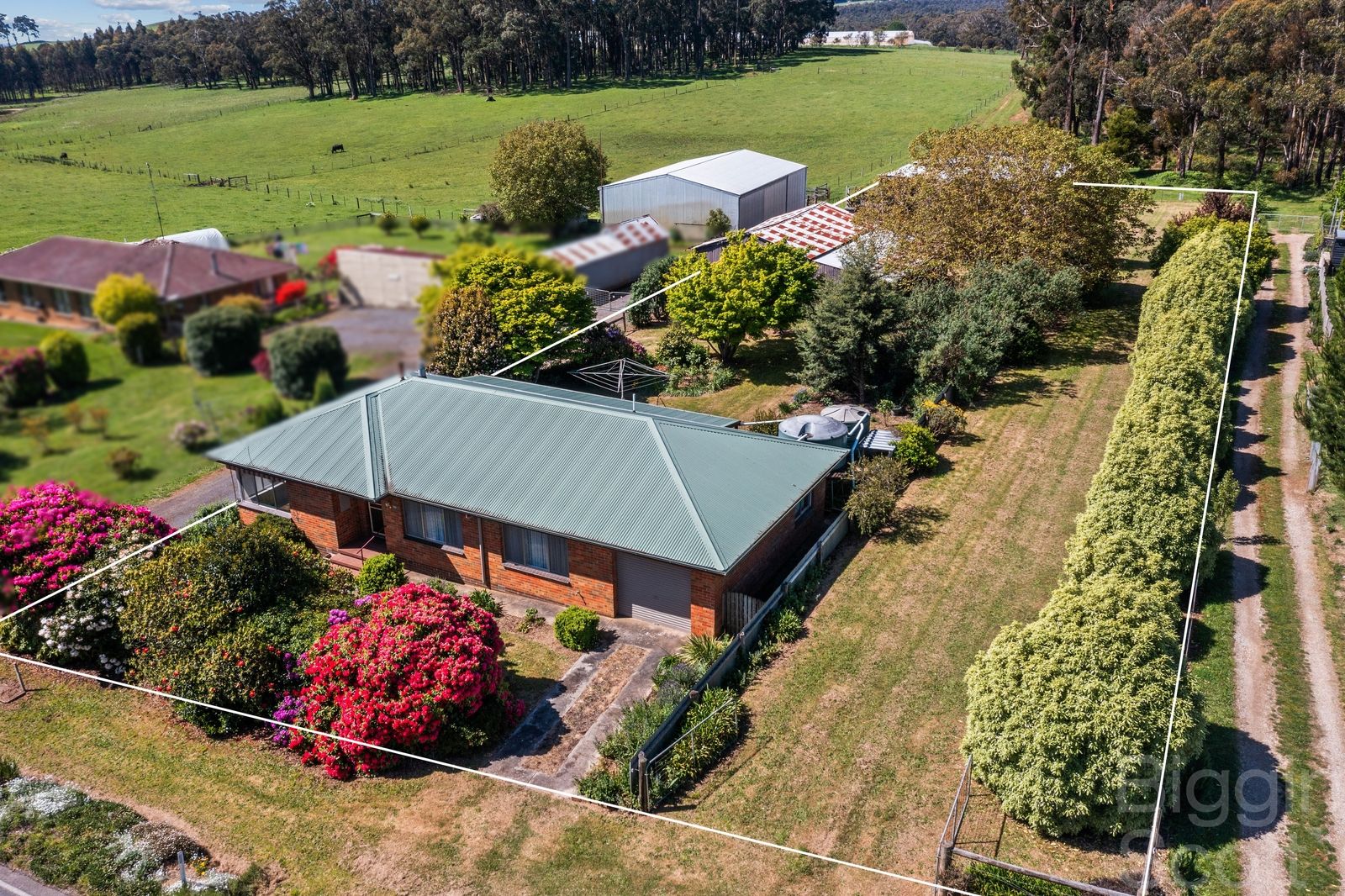 599 Daylesford Trentham Road, Musk VIC 3461, Image 0