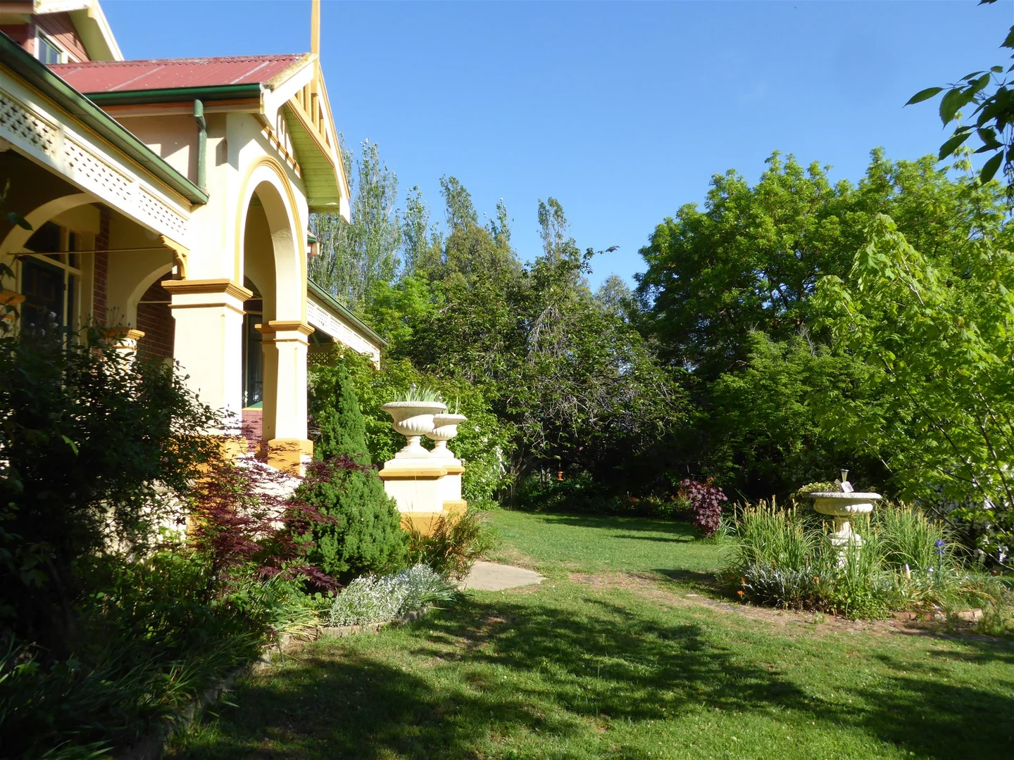 Image 5
