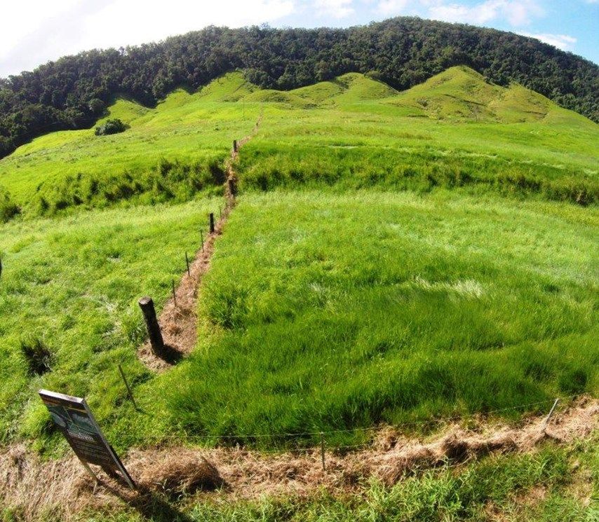 Lot  2 Stewart Creek Road (Stewart Creek Valley), Lower Daintree QLD 4873, Image 1