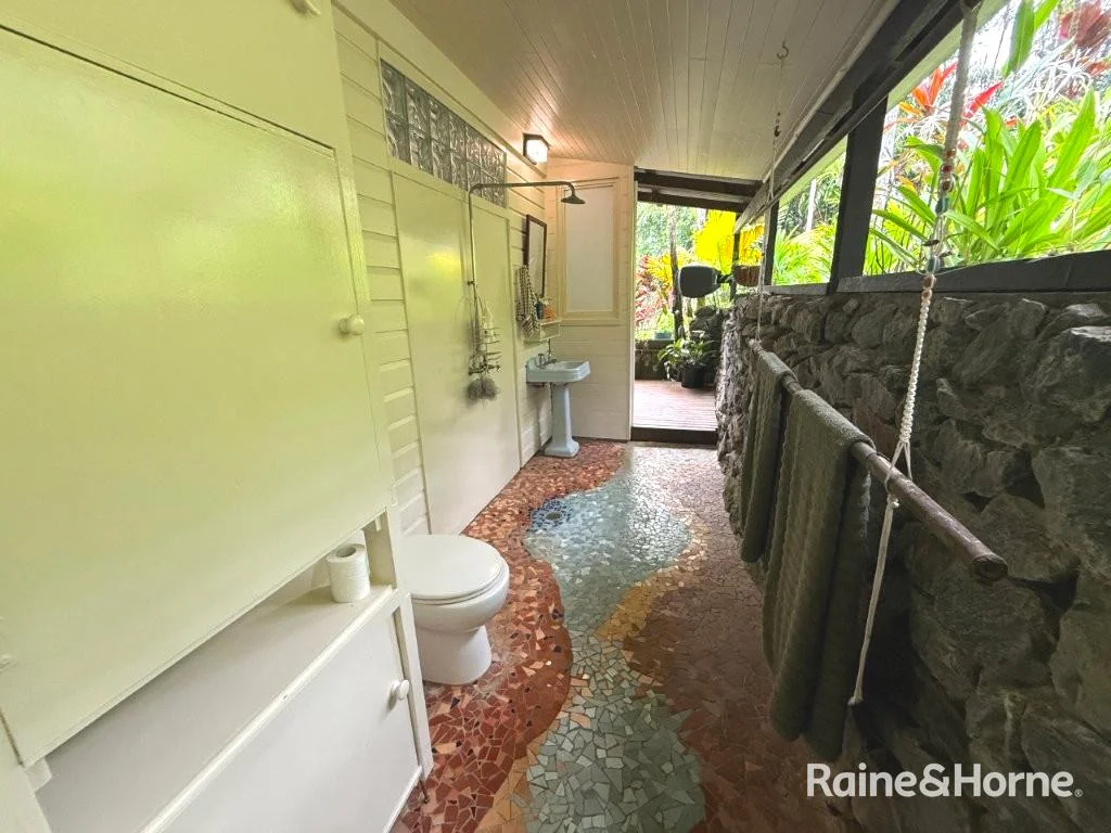 Additional image 11 of 903 EULUMA CREEK ROAD, Julatten QLD 4871