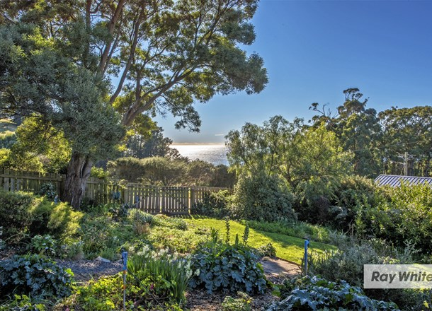 5 West Ridge Road, Penguin TAS 7316